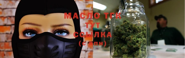 молекула духа Богданович