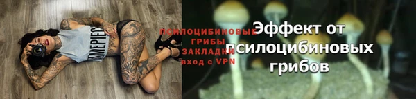 мескалин Богородицк