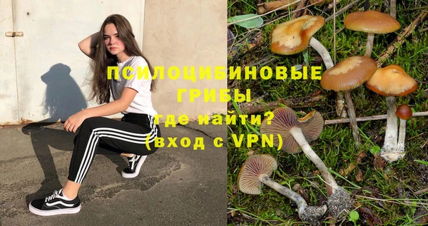 ALPHA PVP Белокуриха