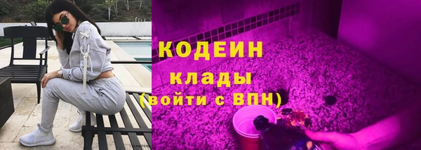 молекула духа Богданович