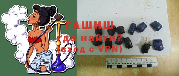 молекула духа Богданович