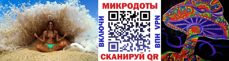 Псилоцибиновые грибы мухоморы  Болотное 